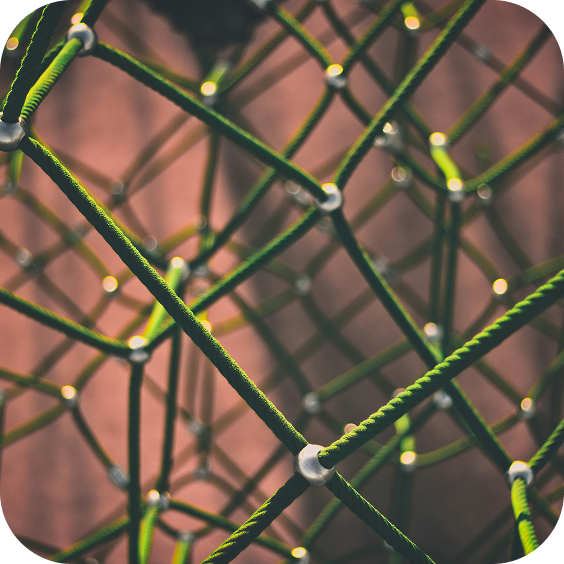 network