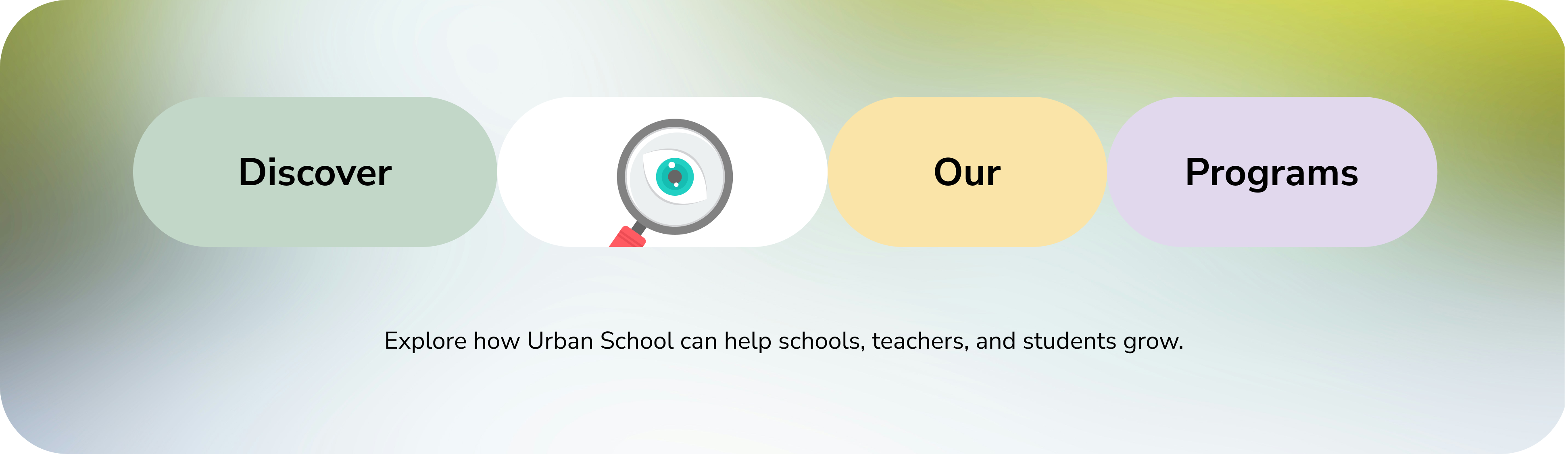 Discover our programs
