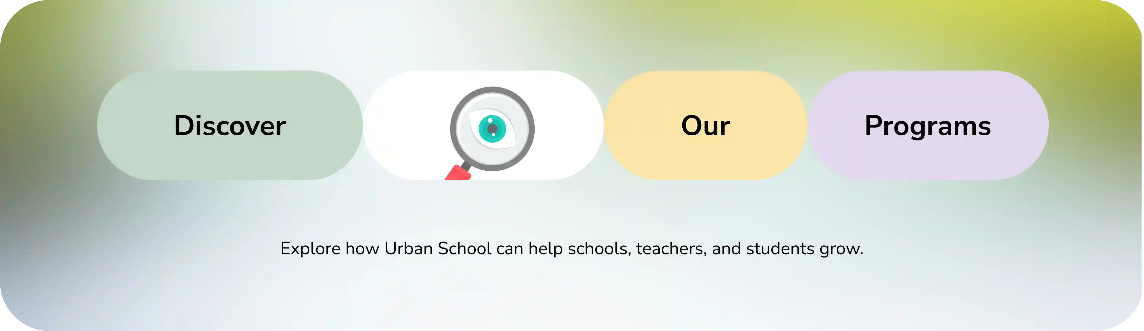 Discover our programs